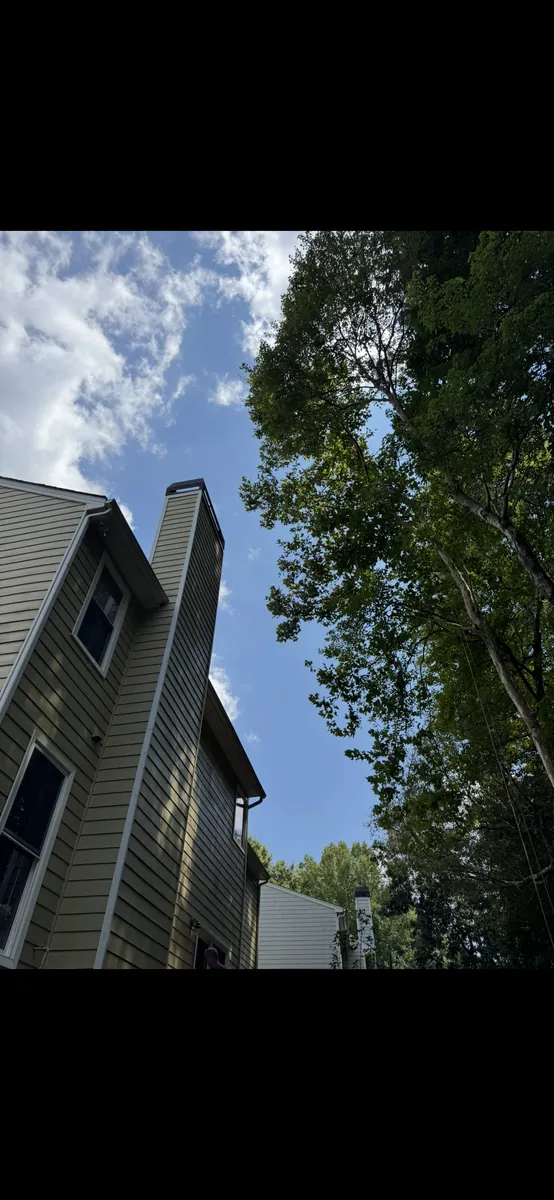 After: tree pruning away from house and chimney in Powder Springs, GA