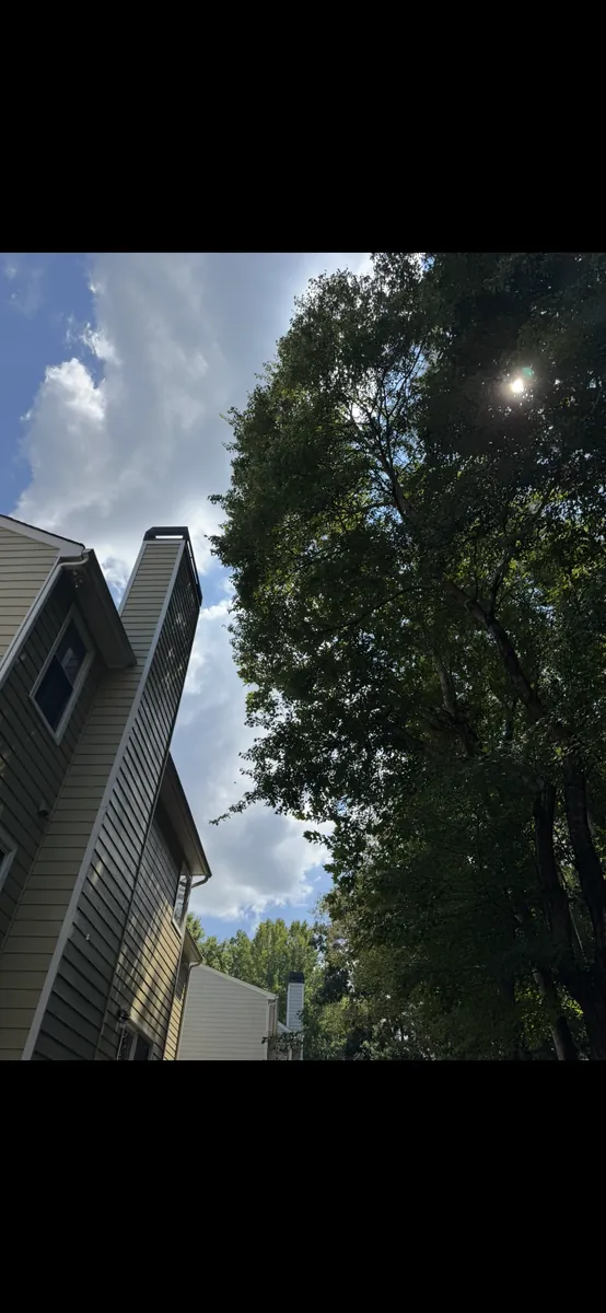Before: tree pruning away from house and chimney in Powder Springs, GA