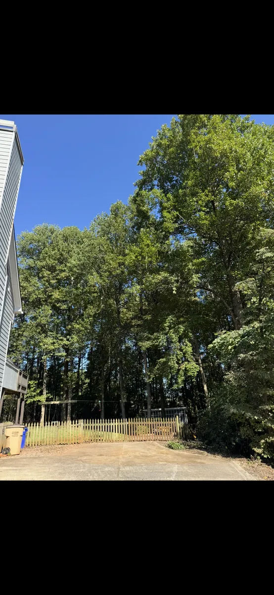 After: poplar removal from driveway and fence in Marietta, GA