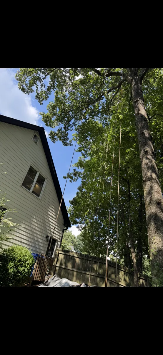 After: oak pruning away from siding, roof and gutters in Kennesaw, GA