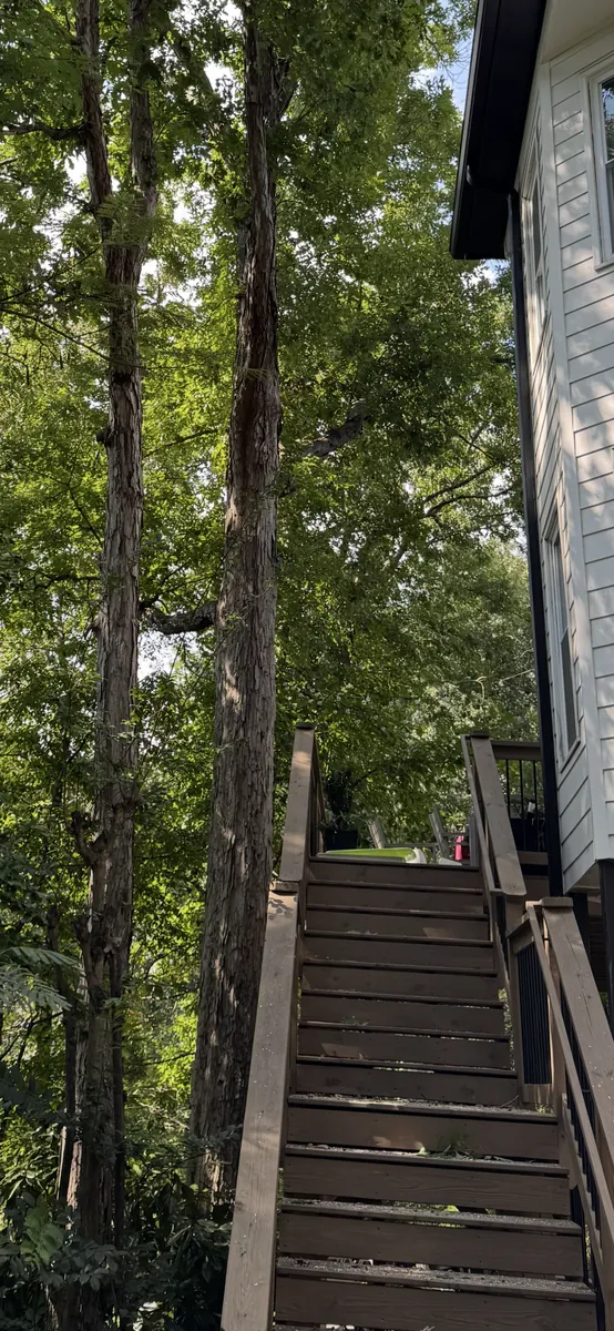 After: two oak trees pruned away from deck in Woodstock, GA