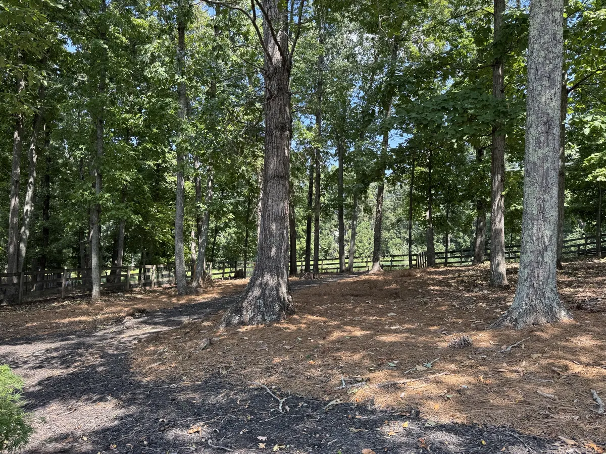 After: tree debris removal and property cleanup in Smyrna, GA