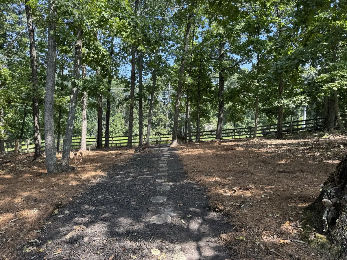 After: tree debris removal and property cleanup in Smyrna, GA