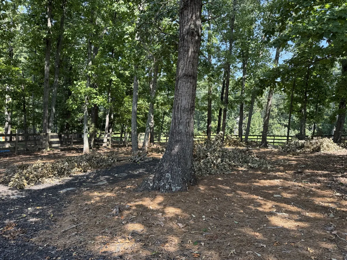 Before: tree debris removal and property cleanup in Smyrna, GA